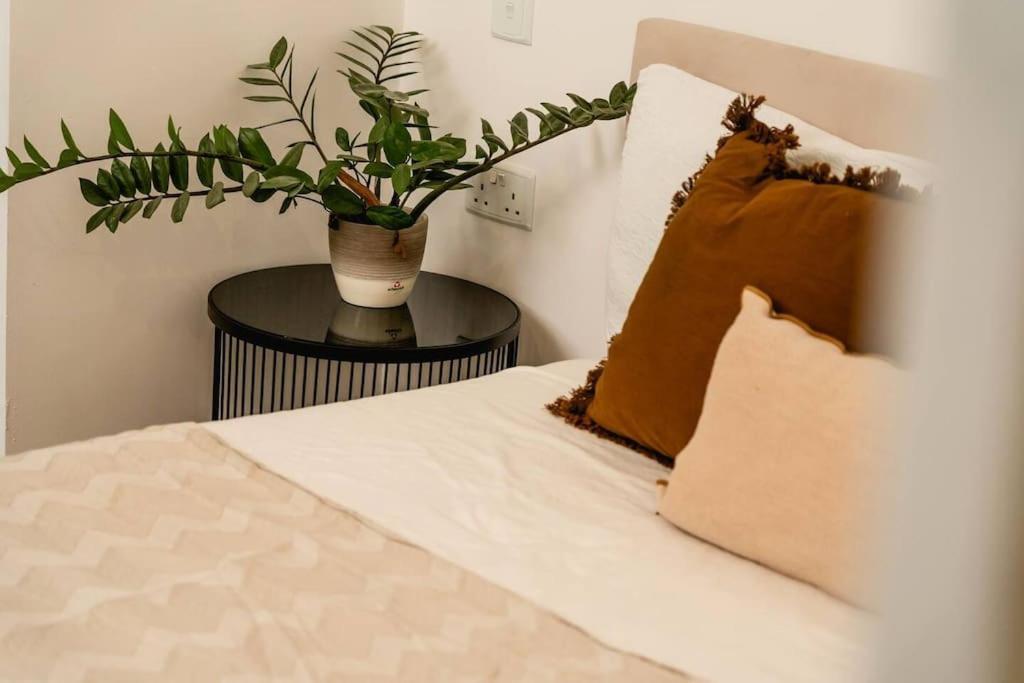 Luxurious & Stylish Penthouse With Private Pool Appartement Msida Buitenkant foto